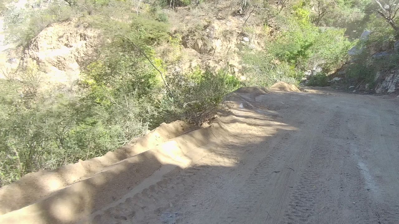 A dusty dirt road curves left through rocky tree-covered hills in Los Cabos, Mexico, with bright sun patches and no visible people.