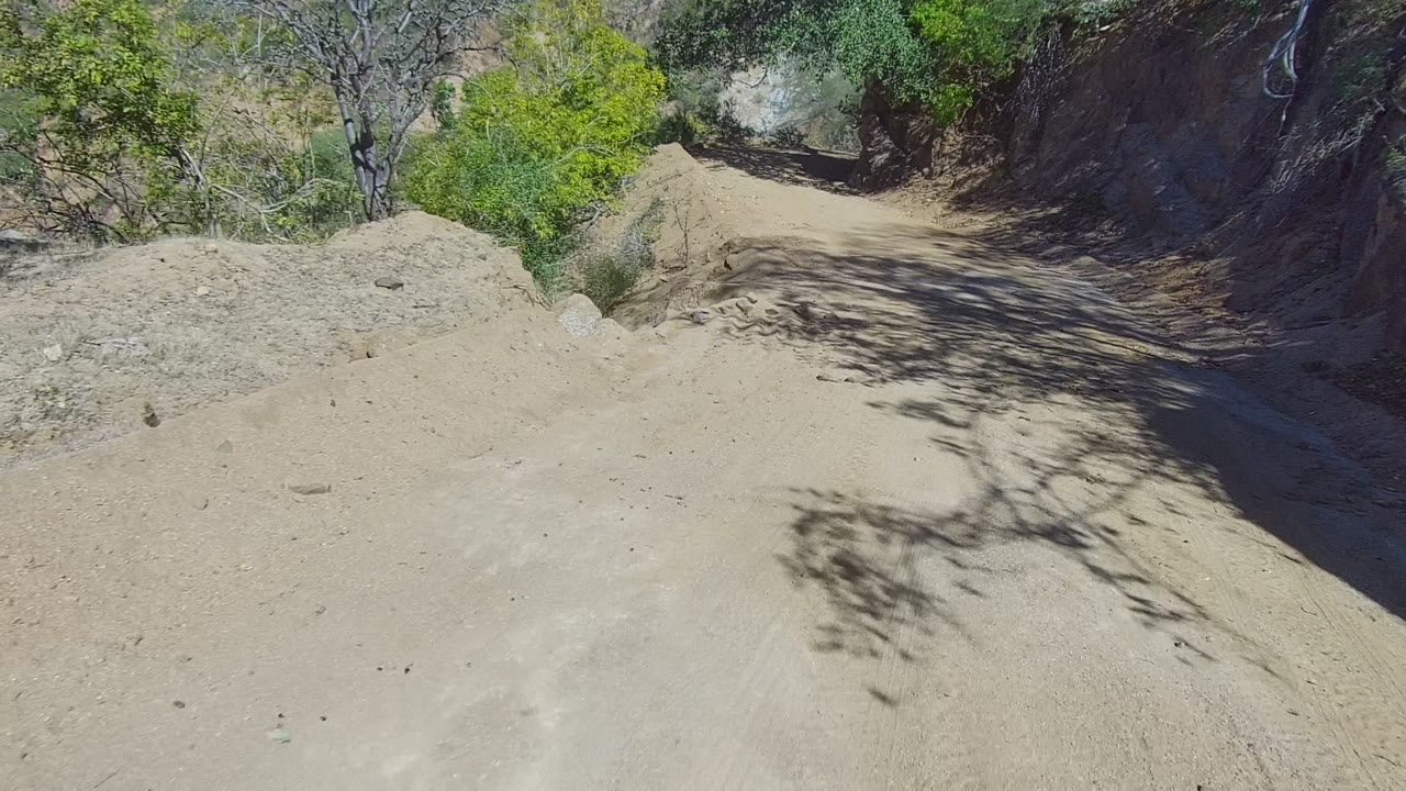 Curving dirt road bordered by brush and a shaded rock wall.