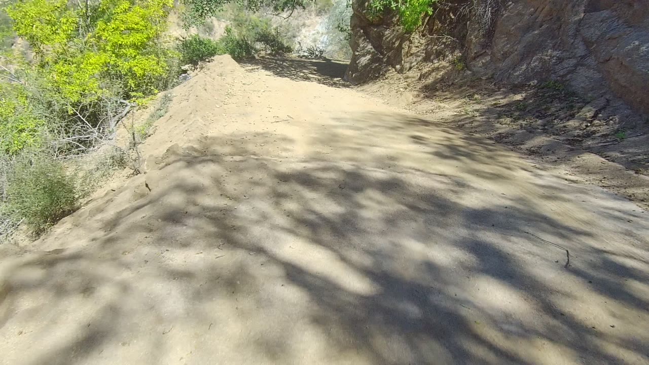 A sunlit sandy road surface in Los Cabos, Baja California Sur carries dark tree shadows across the track, with bright green shrubs and no visible people.