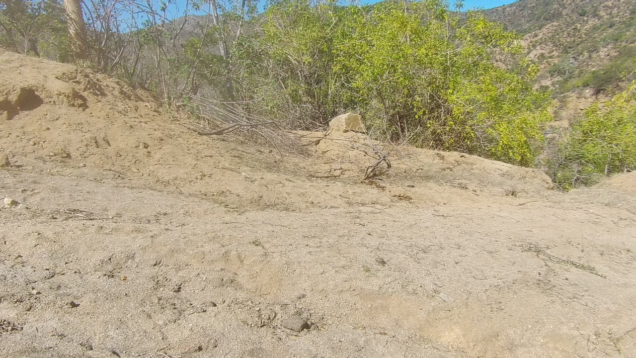 Opening frame of a sandy dirt road in Los Cabos, Baja California Sur, with eroded soil, green shrubs, dry hillside vegetation, blue sky, and no visible people.