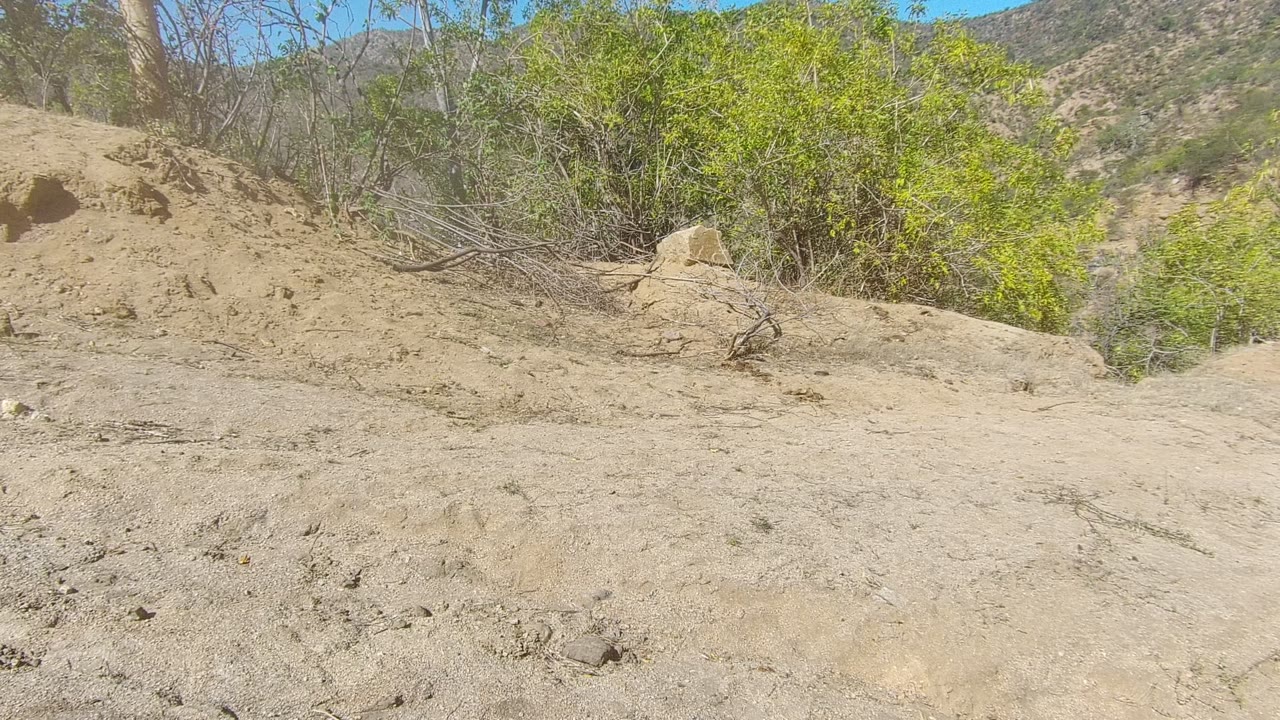Rutted sandy ground leading toward shrubs on a dry hillside.