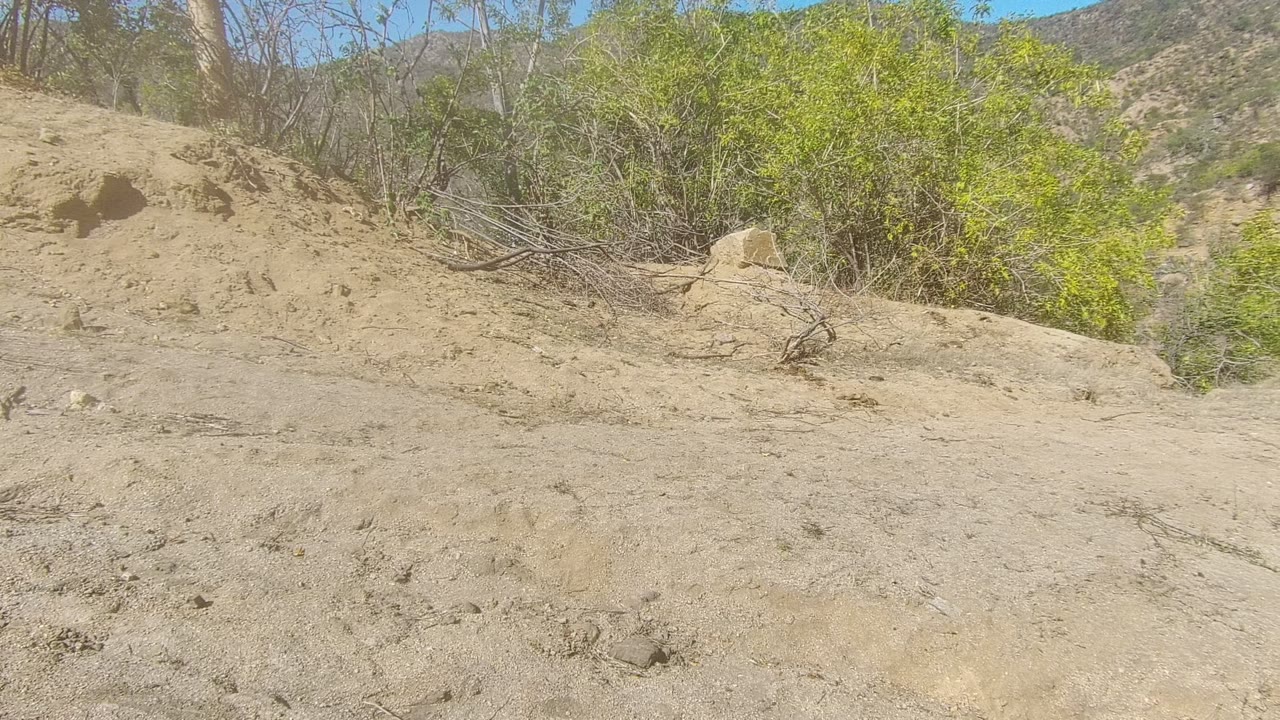 The frame shows mostly open sandy terrain with scattered sticks, rocks, green shrubs, and low hills in Los Cabos, Baja California Sur, with no visible people.