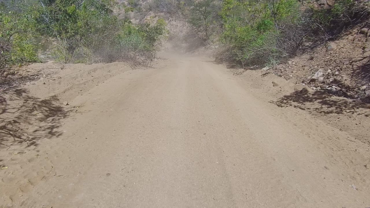 A dusty unpaved road in Los Cabos, Baja California Sur runs between scrub vegetation and dry dirt banks, with no visible people.