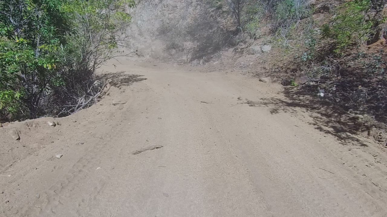A pale dirt track in Los Cabos passes close to brush and rocky roadside ground, with dust softening the background and no visible people.