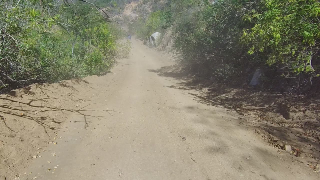A sandy dirt road in Los Cabos splits around dense green brush, with dust hanging over the track and no visible people.