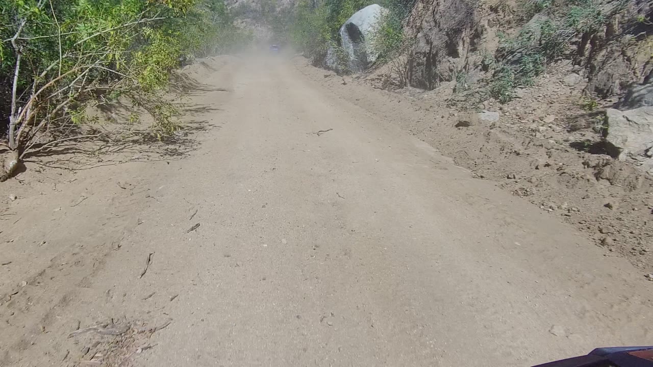 A dusty unpaved road in Los Cabos fills the frame, with low shrubs at the edge, scattered rocks, and no visible people.