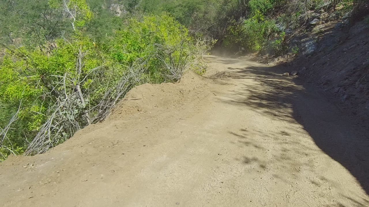 A dusty dirt road in Los Cabos curves past green brush and a shaded rocky bank, with no visible people.