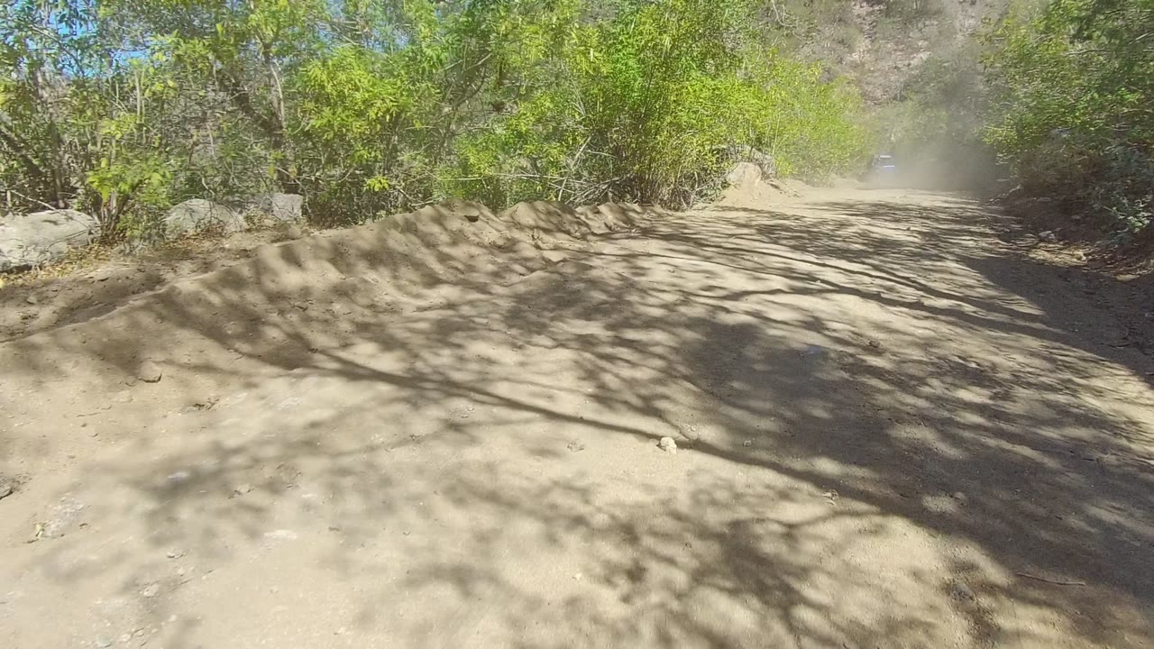 Dusty road curving through green bushes and tree shadows