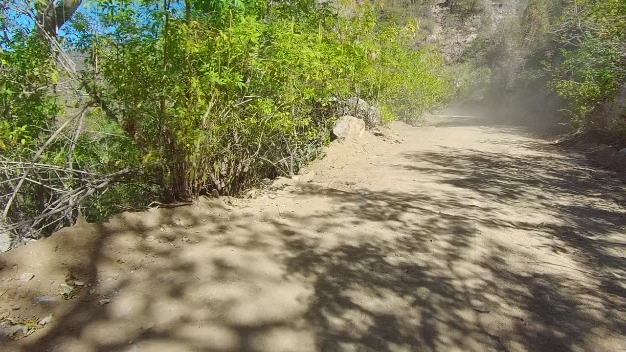 A sandy Los Cabos trail runs between bright green shrubs and dry rocky slopes, while pale dust hangs ahead and no people are visible.