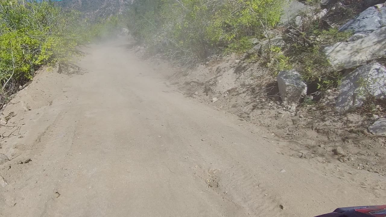 Start of a Los Cabos dirt road drive with dust hanging over a sandy track, green brush on both sides, rocks at the roadside, a red vehicle edge low in frame, and no visible people.