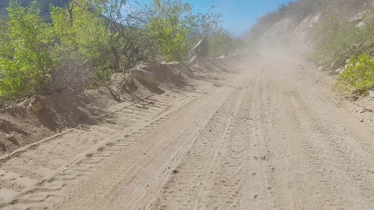 Wide pale dirt road in Los Cabos, Baja California Sur bordered by bright green shrubs, eroded sand banks, rocky hillside, suspended dust, and no visible people.