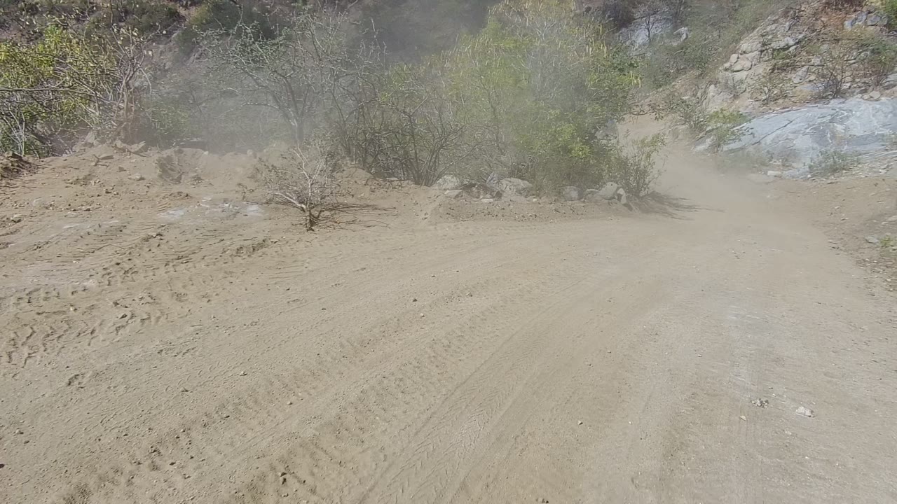Dust cloud over a sandy road beside sparse desert bushes