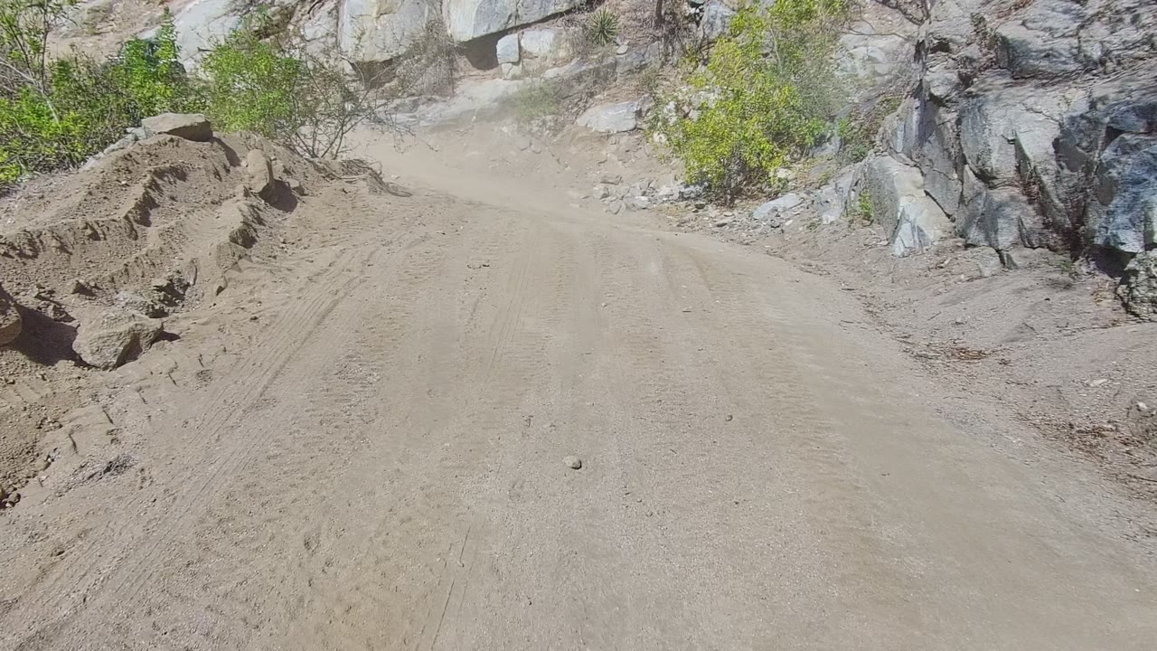 Winding dirt track beside gray rocks and low shrubs.