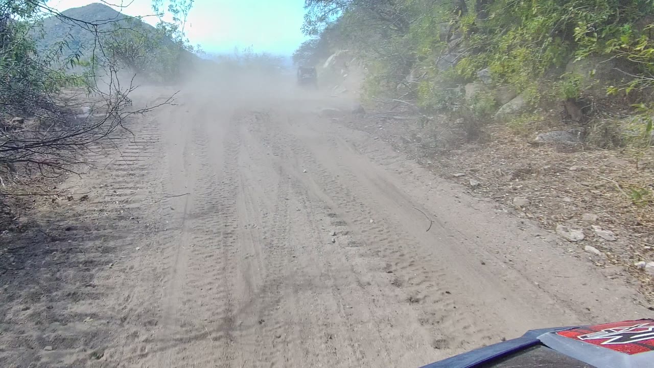 A dusty dirt road in Los Cabos, Baja California Sur runs between scrubby trees and rocky hills under bright blue sky, with no visible people.