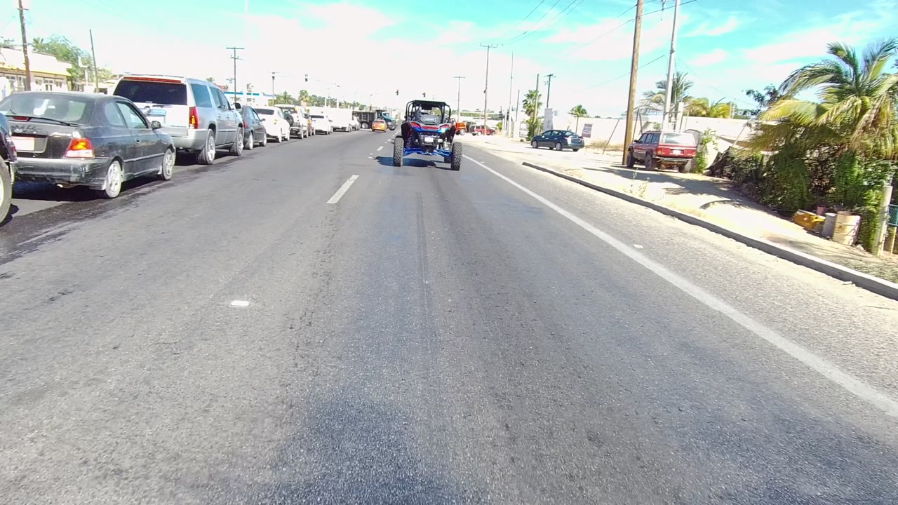 Roadway view passing parked vehicles with palms and sidewalk