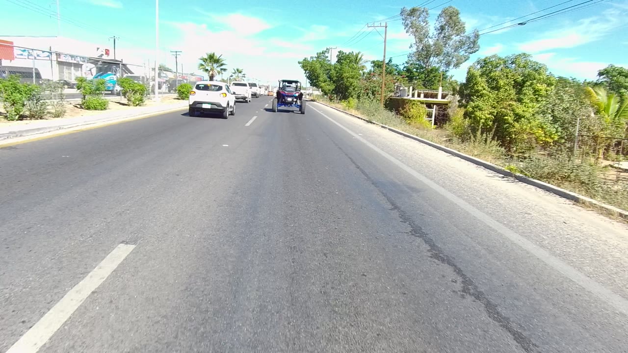 Traffic ahead on a sunlit asphalt road with plants and buildings at the roadside.
