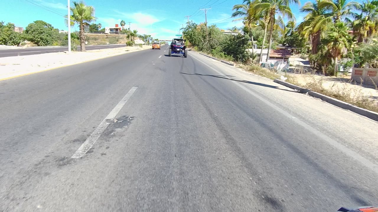 Road-level view of a paved street with vehicles ahead and palm trees on the right.