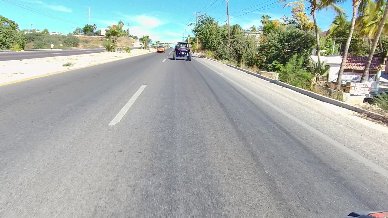 Forward view along a Los Cabos paved road, with the lane marking leading toward two vehicles, palm trees and low roadside walls beside the street, and no visible people.