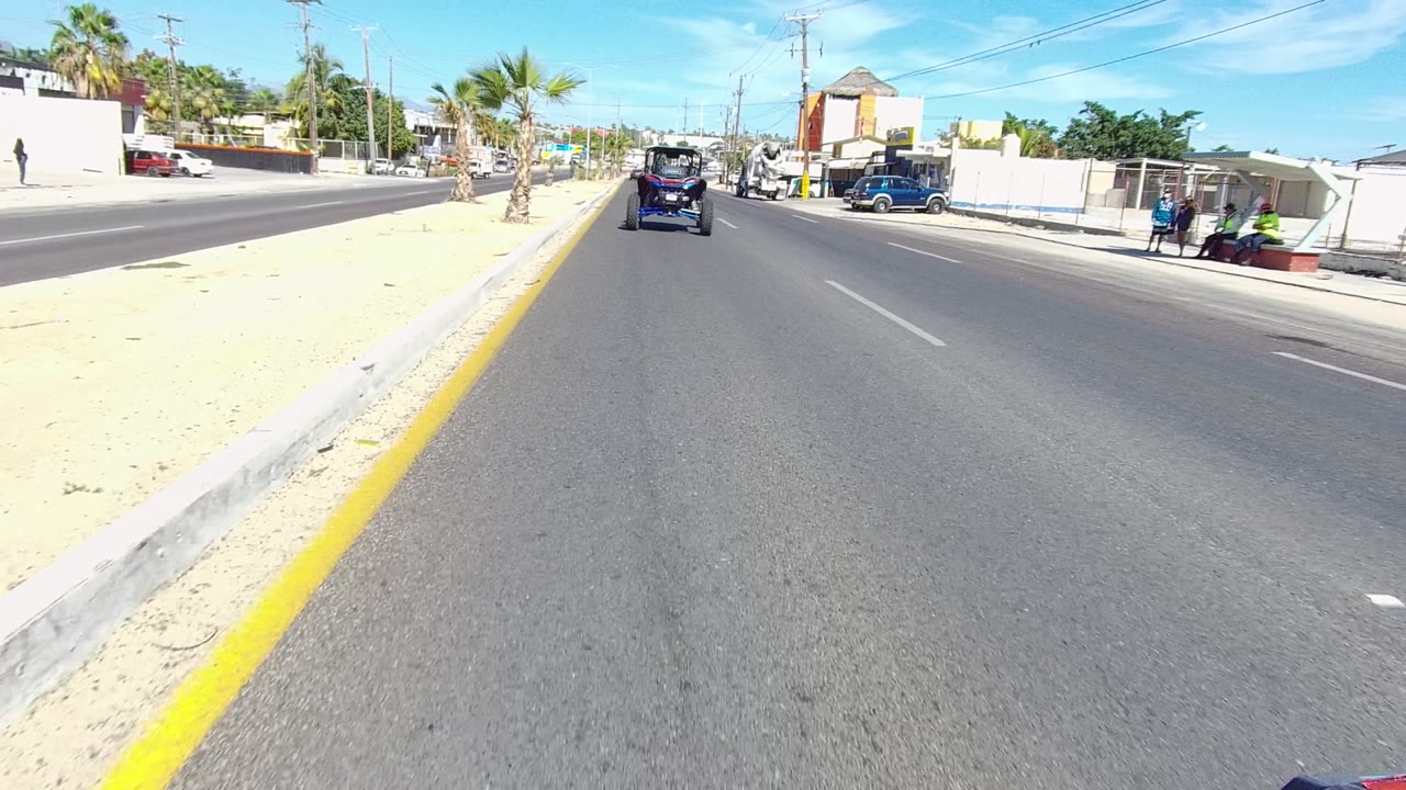 Vehicle continues along a sunlit road past sidewalk palms and roadside buildings.