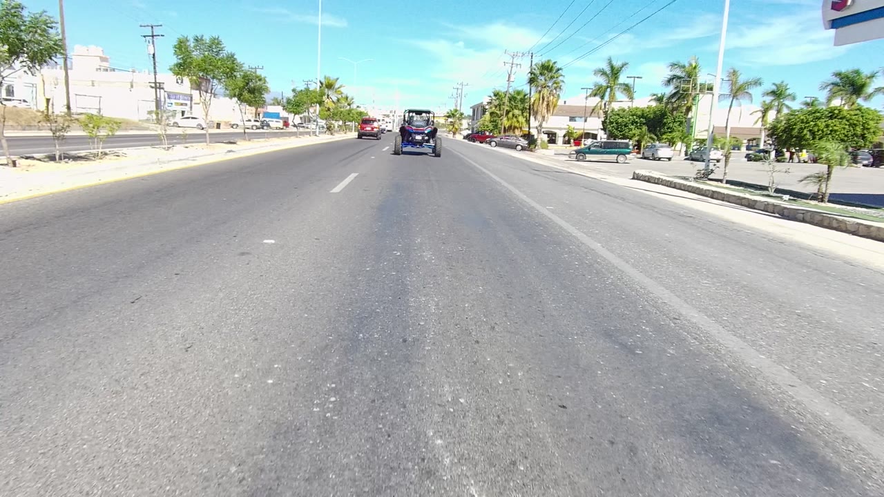 Urban road with vehicles ahead, palm trees, parked cars, and low buildings in bright sun.