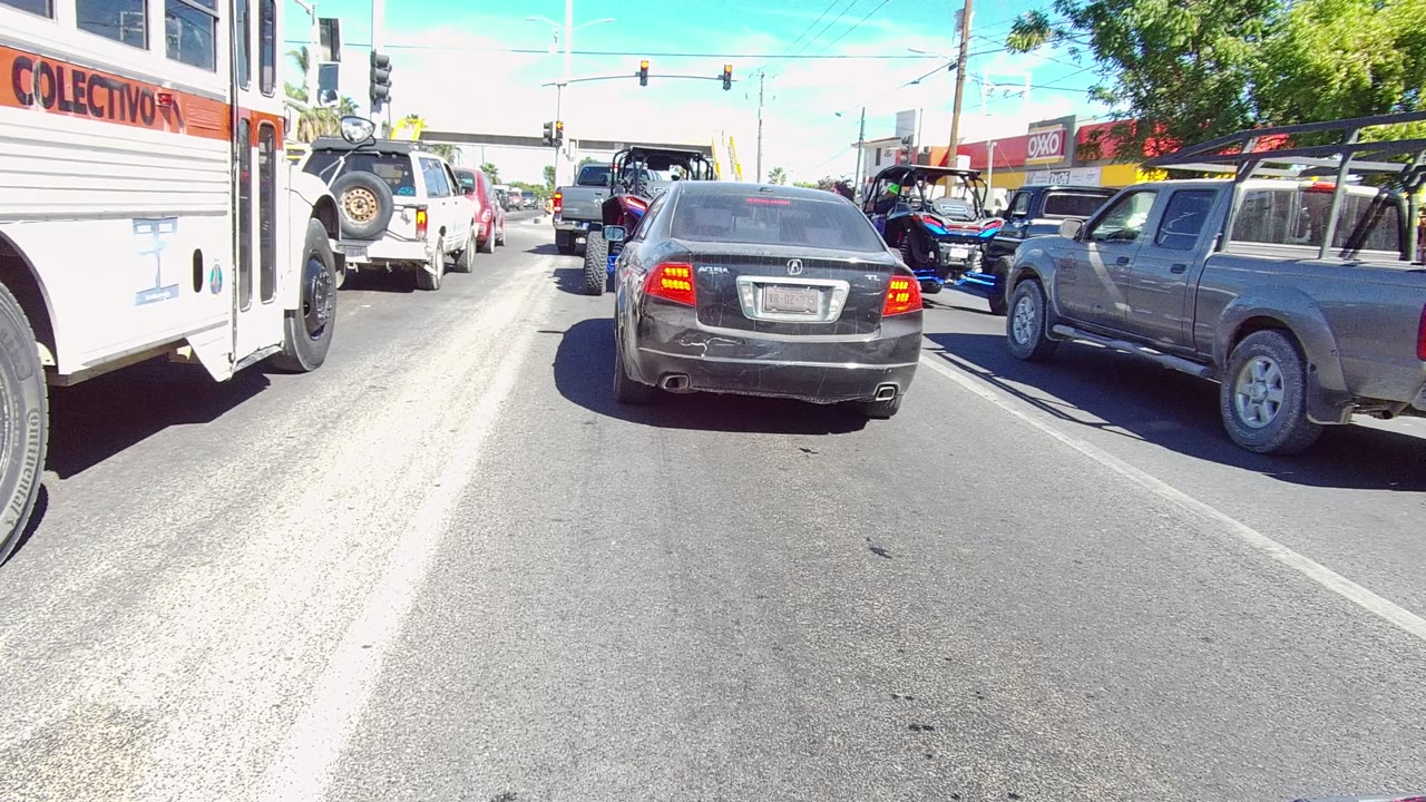 Los Cabos traffic stopped at an intersection, with a white colectivo bus at the left edge, a black sedan centered ahead, a gray pickup on the right, and no visible people.