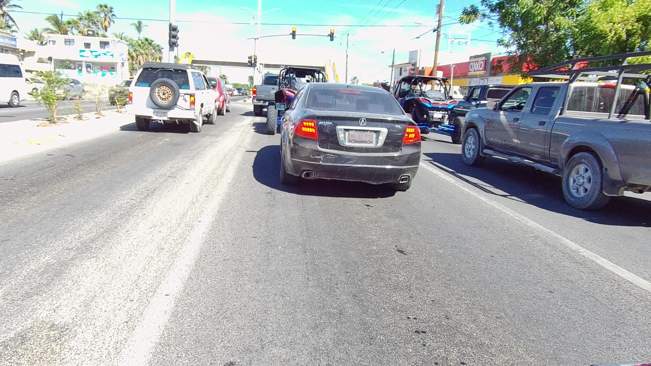 Traffic waits at a stoplight on a bright Los Cabos road, with a black sedan centered, a gray pickup at right, a white vehicle ahead, storefronts and trees in the background, and no visible people.