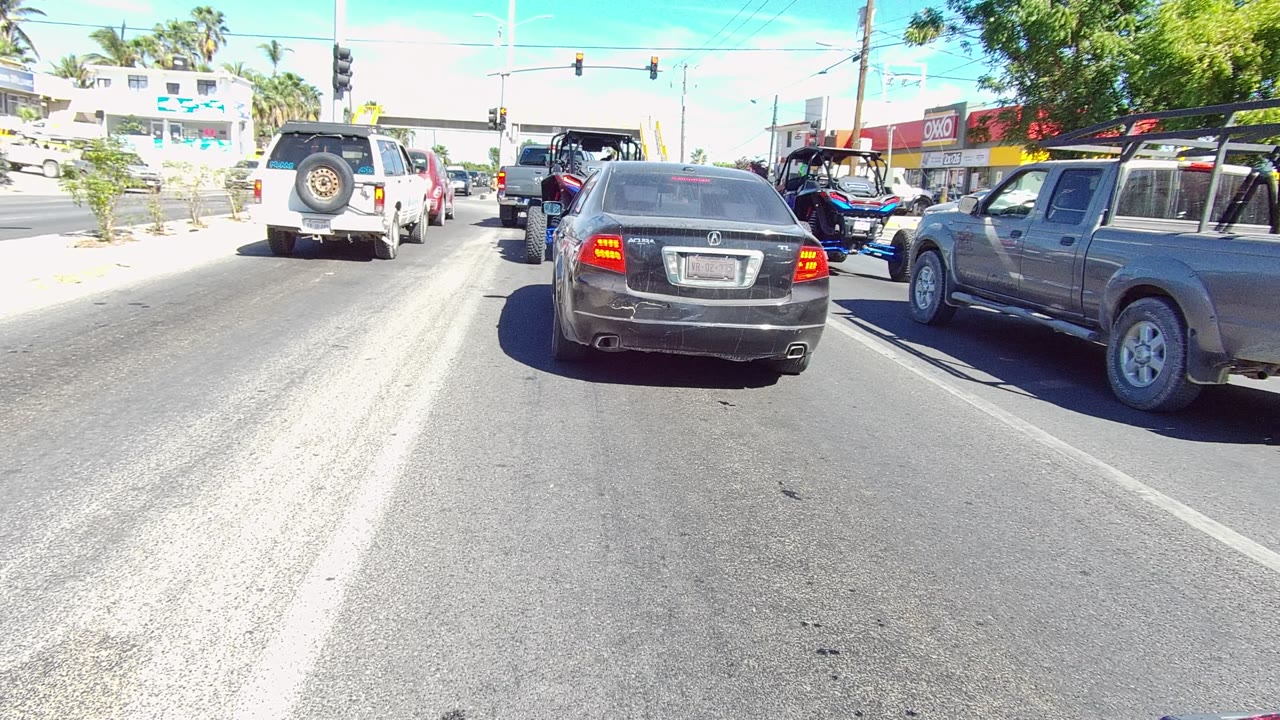 Vehicles stopped at a sunny intersection with traffic lights and palm trees.