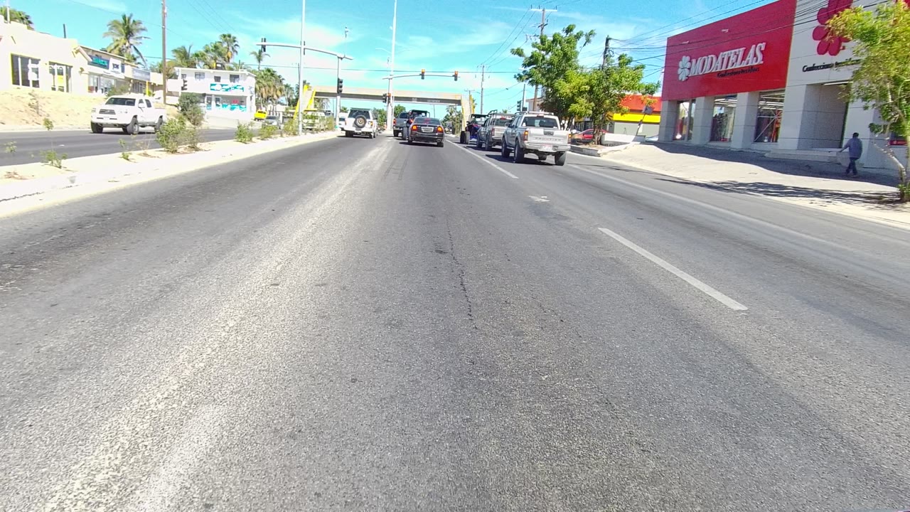City street view approaching cars beside storefronts and palm trees.