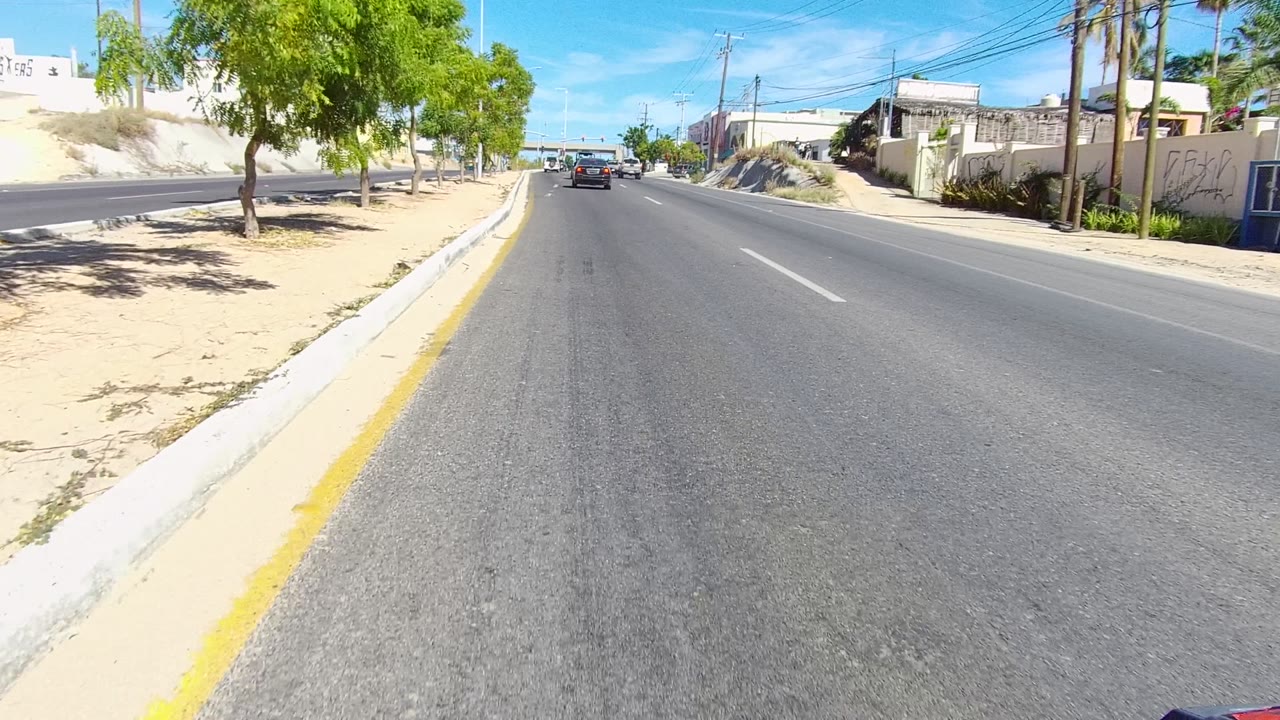 Mid-road Los Cabos frame showing the car ahead centered farther down the lane, white road markings, a yellow curb edge, roadside walls, trees, palms, and no visible people.