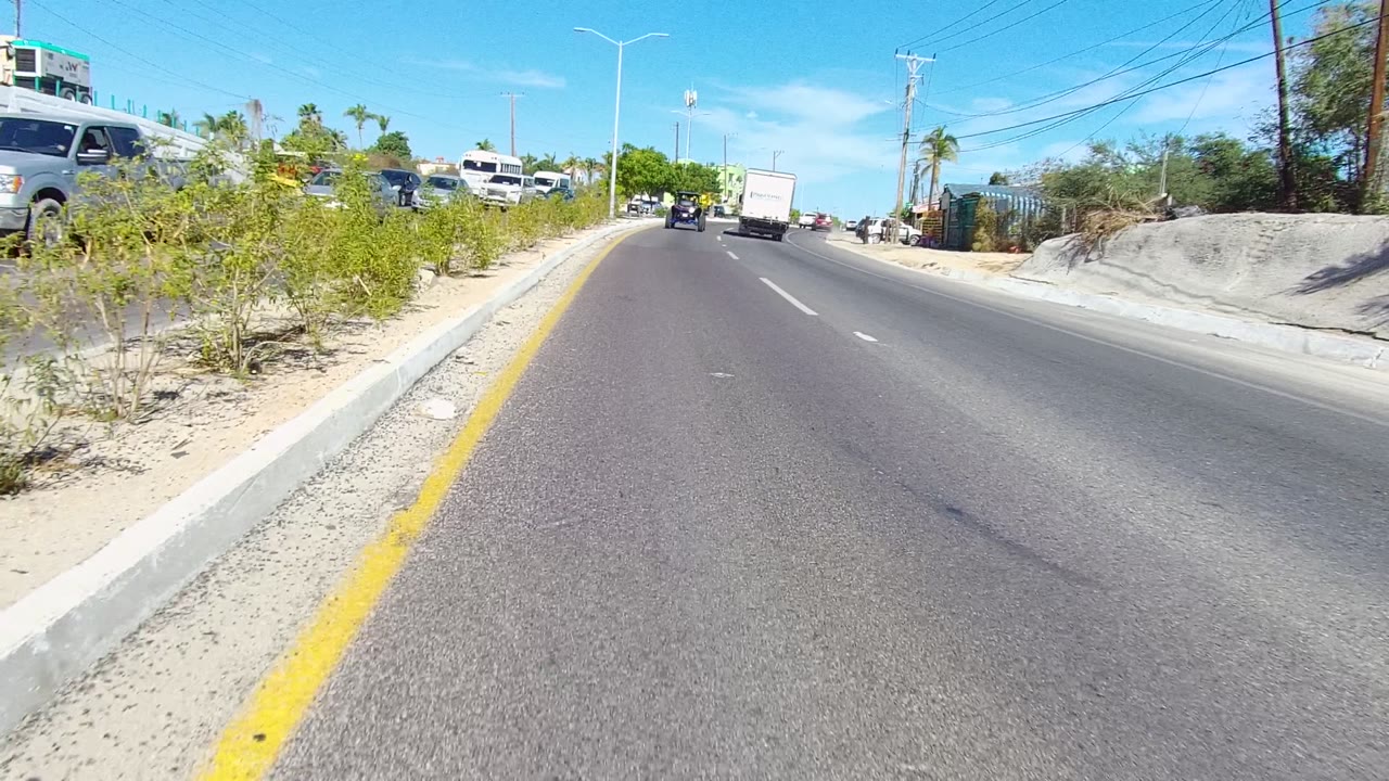 Roadside traffic with a parked or passing van, palms, shrubs, and utility lines.