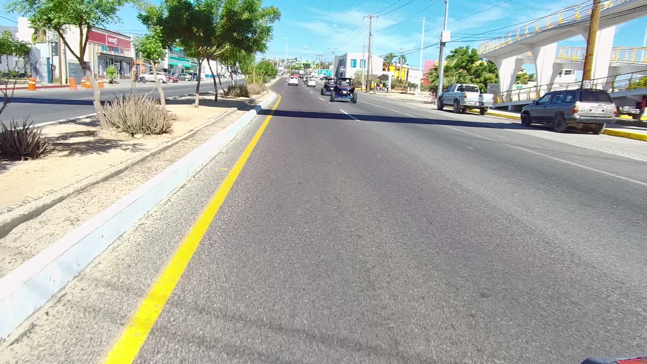 Road-level view in Los Cabos, Baja California Sur with a yellow center line, roadside trees, storefronts, parked cars, moving vehicles, and no visible people in this frame.