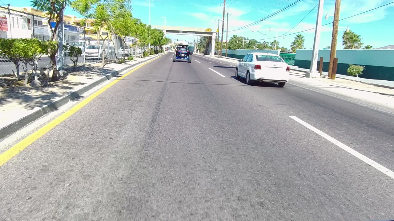 Road-level view in Los Cabos, Baja California Sur, with a white car to the right, a blue vehicle ahead, trees along the sidewalk, power lines overhead, and no visible people.