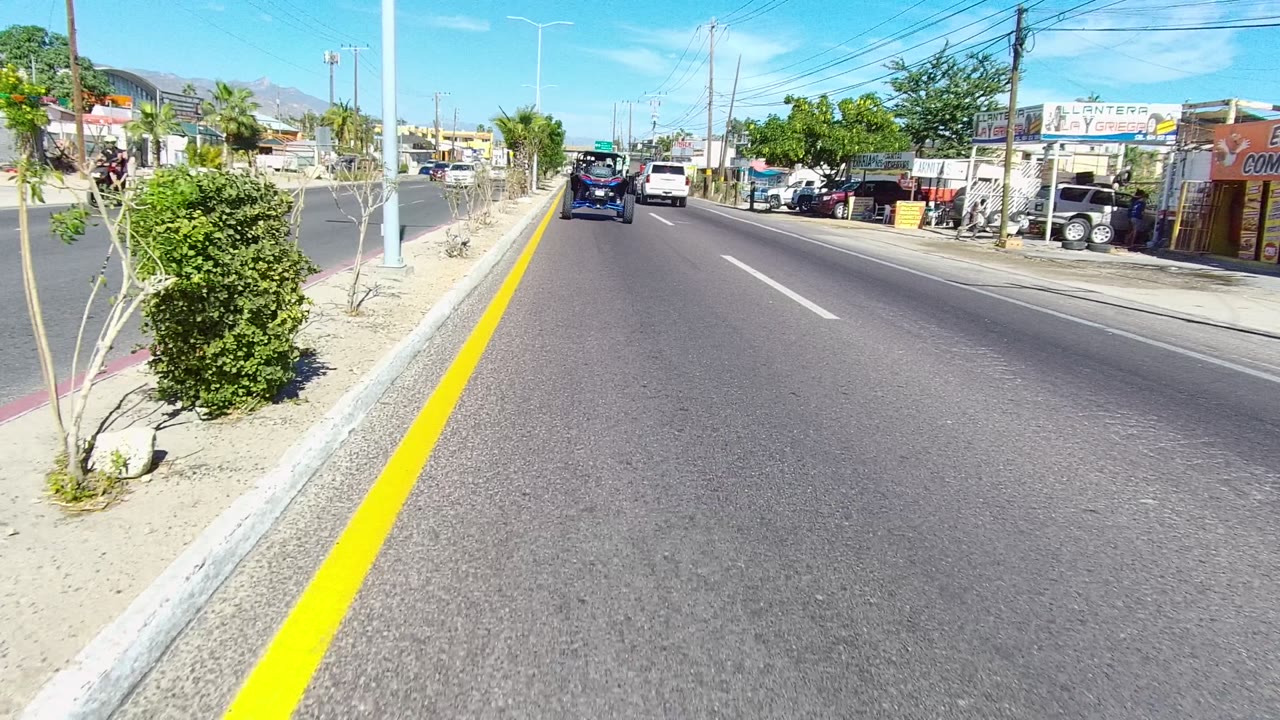 Sunny paved road with yellow center line, sidewalk trees, parked cars, and low buildings.
