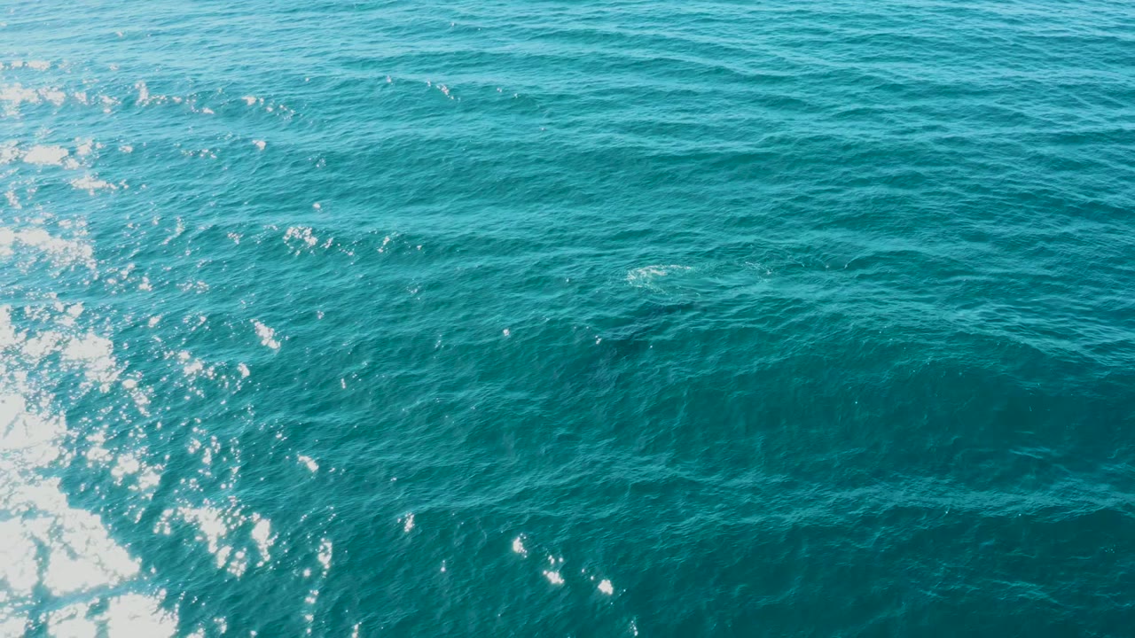 Overhead view of turquoise ocean water at El Tule Los Cabos with a bright white wake band along the left edge and no visible people.
