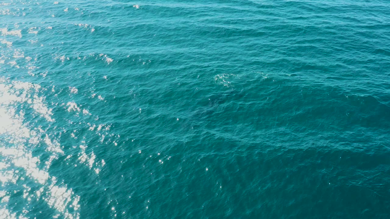 Aerial ocean water with wake foam and sun sparkle