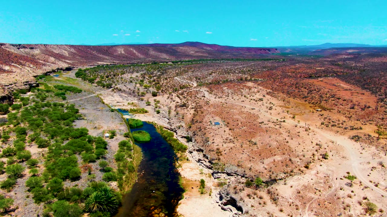 High drone view of green trees beside a narrow river in desert terrain.