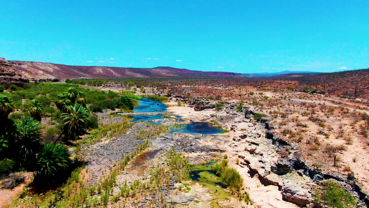 Elevated view over palms, shallow pools, rocky banks, desert scrub, and distant hills.