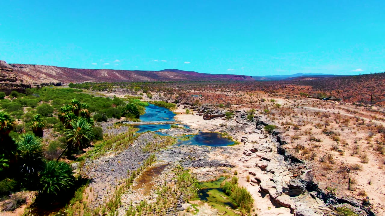 Wide aerial view in San Juanico, Baja California Sur with the watercourse running from the foreground into the midground, palms clustered near the channel, scrub-covered desert, and no visible people.