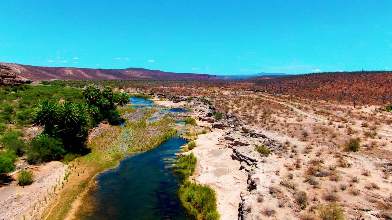Elevated desert river view with green vegetation and a dirt road across dry terrain.
