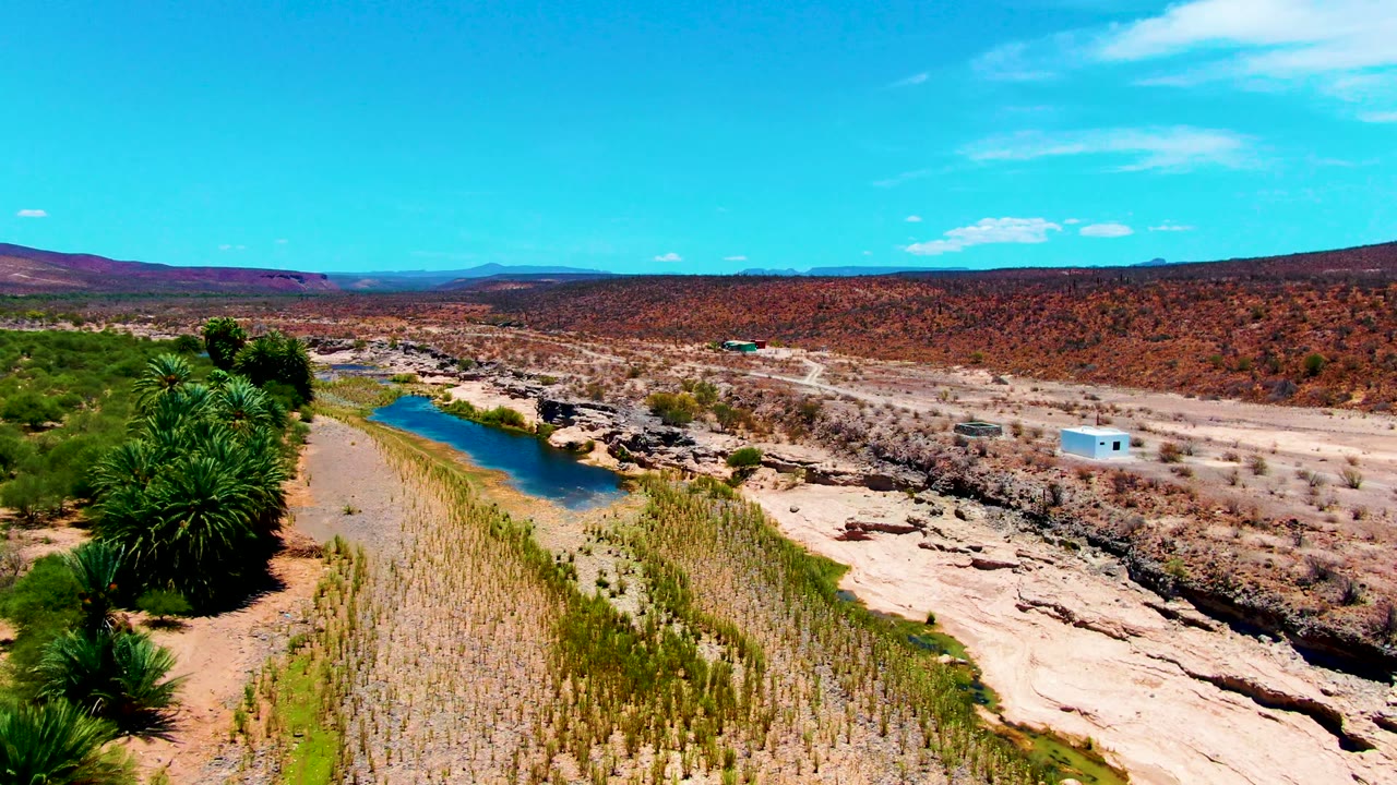 Drone view in San Juanico, Baja California Sur, with palms closer to the foreground, the narrow river running through reeds, dry washes beside it, a white building in the midground, and no visible people.