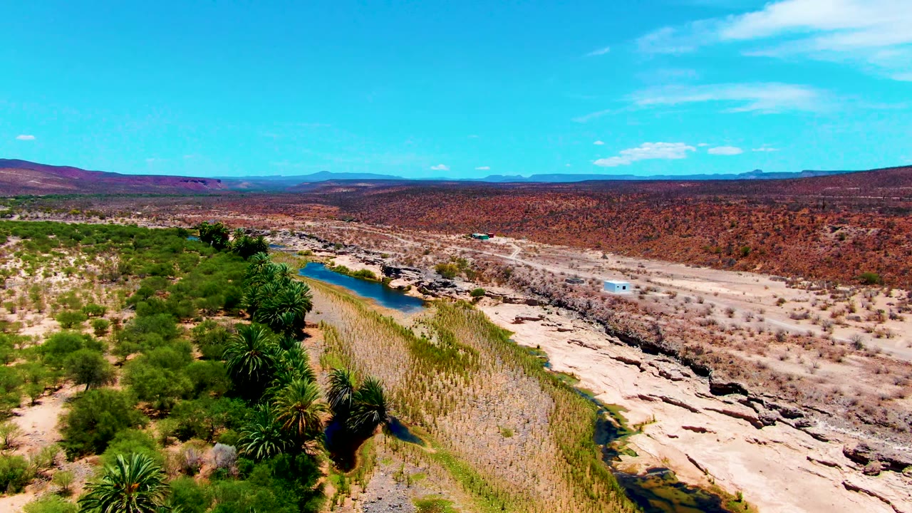 Aerial view in San Juanico, Baja California Sur, with a narrow river curving past reeds and palms, dry exposed riverbed to the right, distant hills, blue sky, and no visible people.