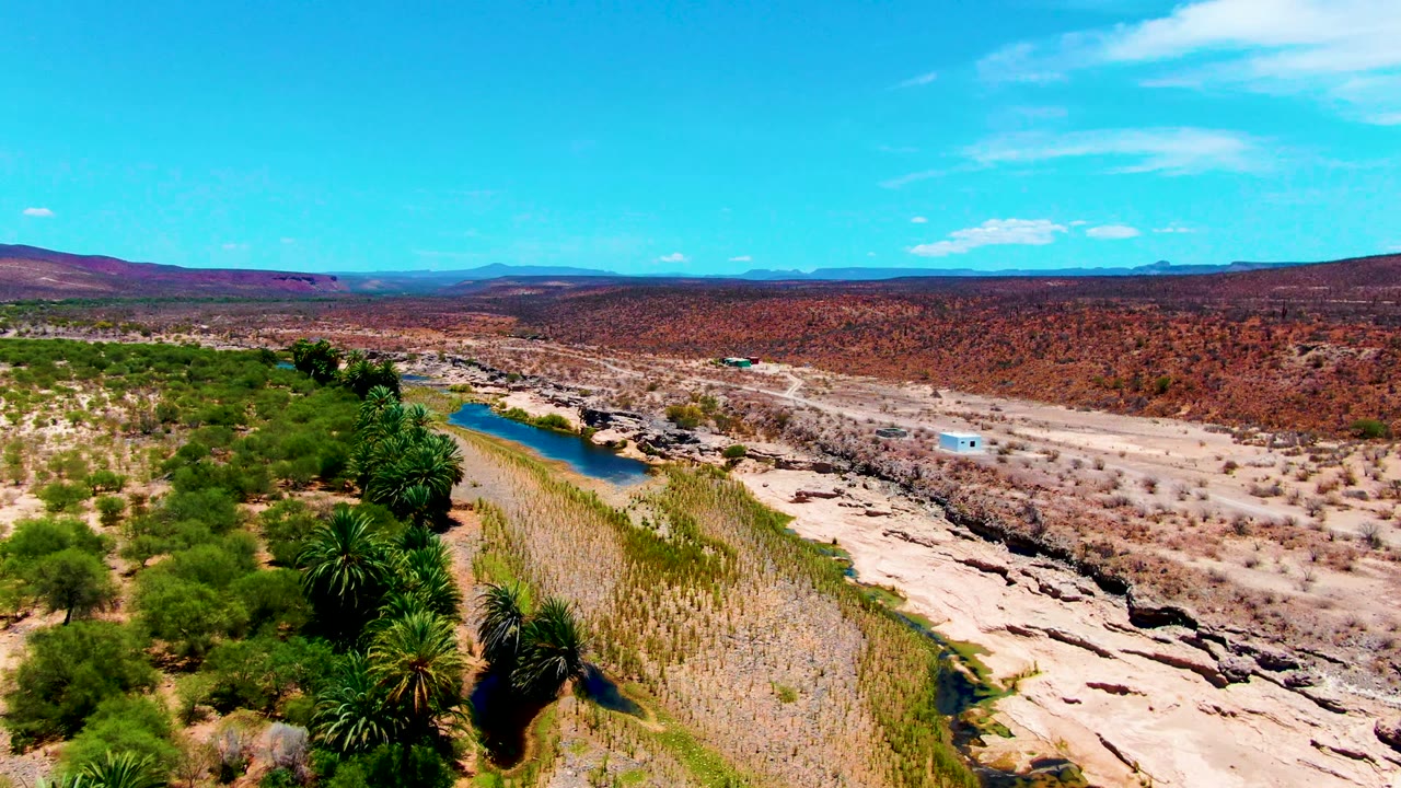 Drone view over a river channel with palms, reeds, dry sand, and distant hills.