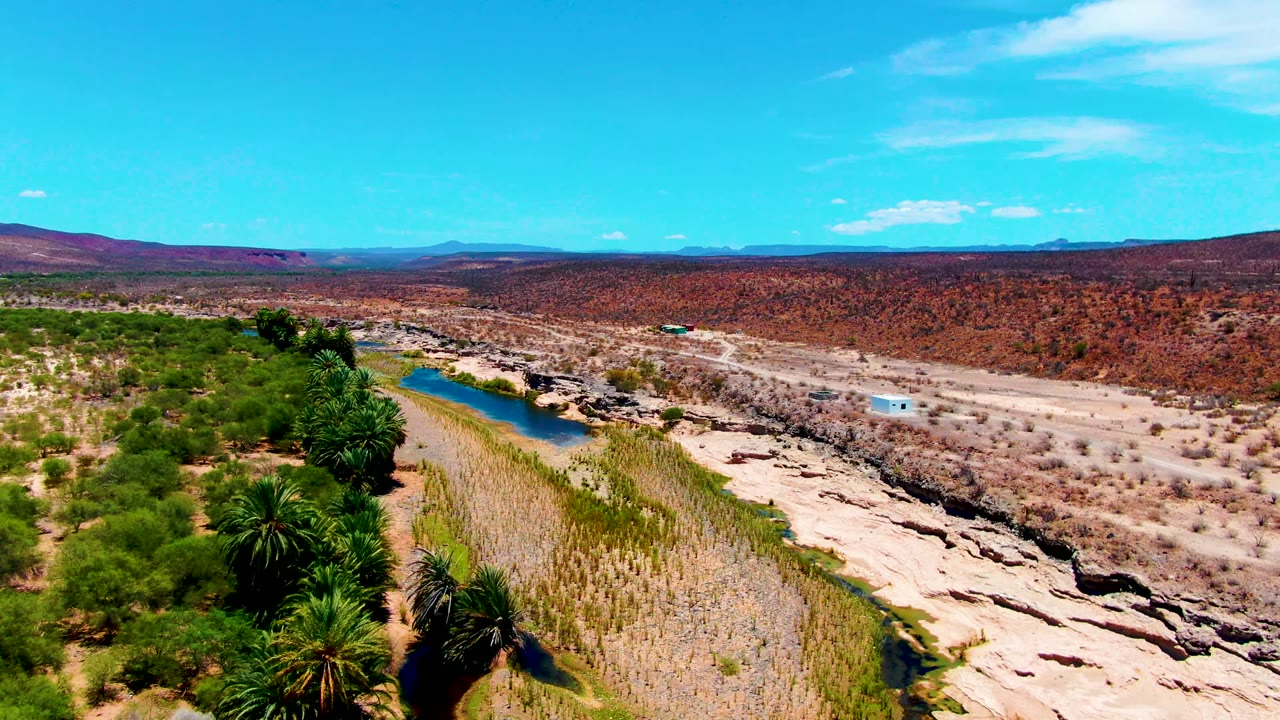 Aerial frame from San Juanico, Baja California Sur, with palms and dense green growth in the lower foreground, a narrow river beside tan exposed riverbed, red-brown desert scrub, and no visible people.