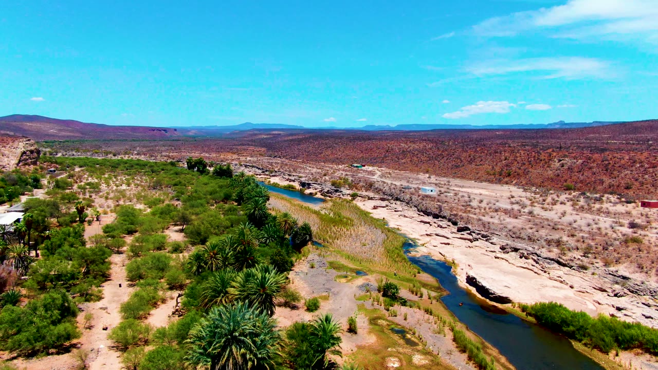 Drone view looking along a river bordered by palms and dry scrubland.