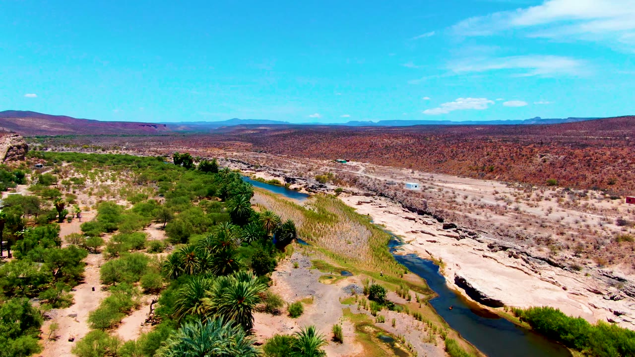 Aerial frame from San Juanico, Baja California Sur, showing palms and trees near the river in the foreground, dry red-brown terrain in the distance, and no visible people.