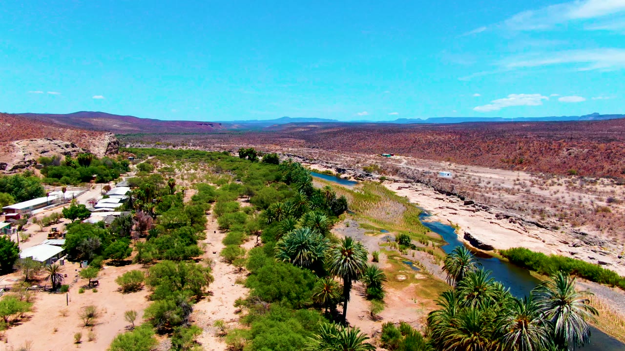 Aerial view in San Juanico, Baja California Sur with the river running diagonally past dense green trees, palms, pale sand, rock banks, and no visible people.