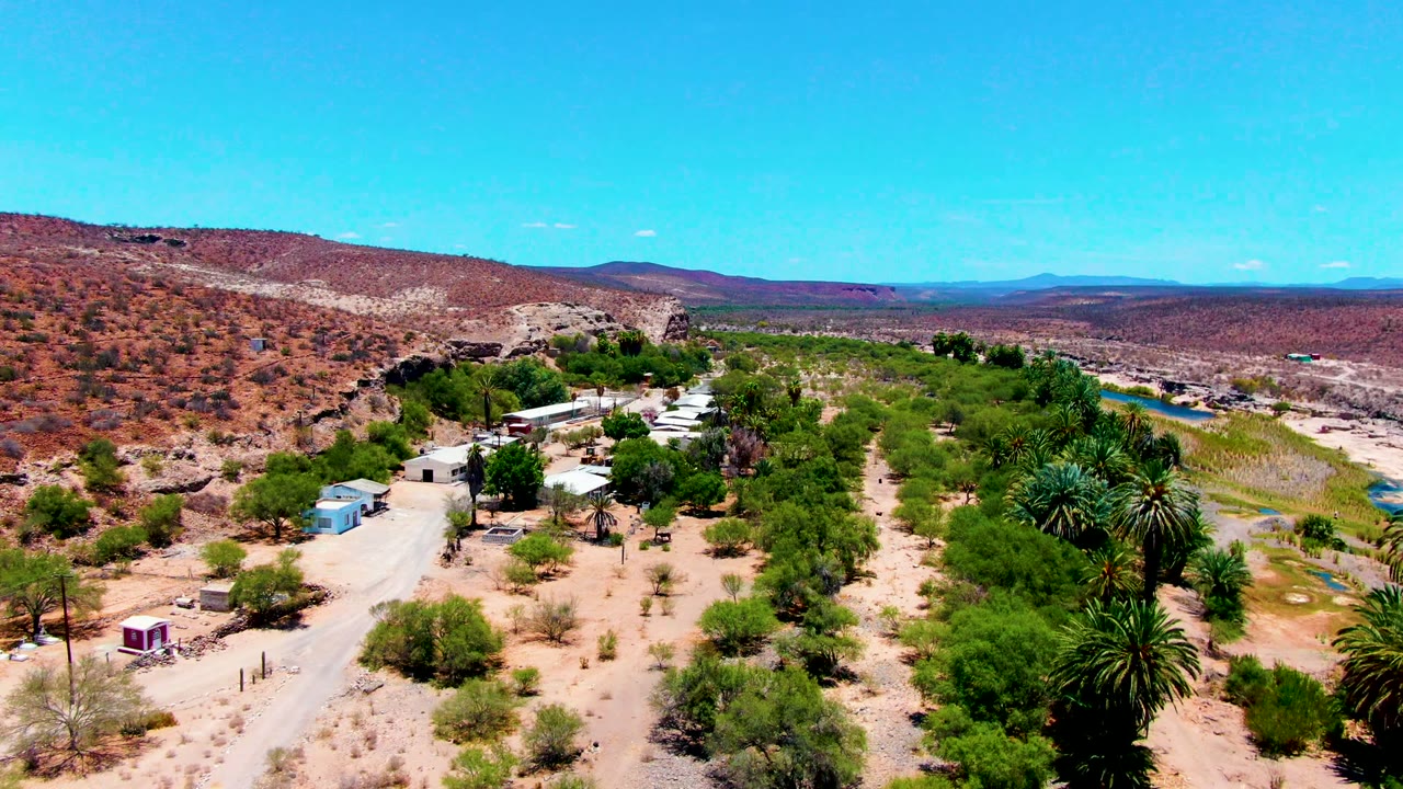 Aerial frame over San Juanico with palms in the foreground, small structures near a dirt road, dry scrubland, distant hills, and no visible people.