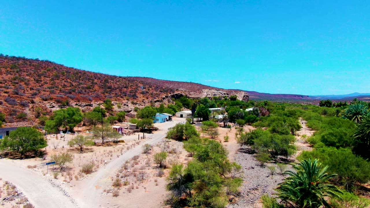Frame in San Juanico, Baja California Sur, with the dirt road lower left, a large palm at right, clustered green trees, small structures, a long reddish hillside, and no visible people.