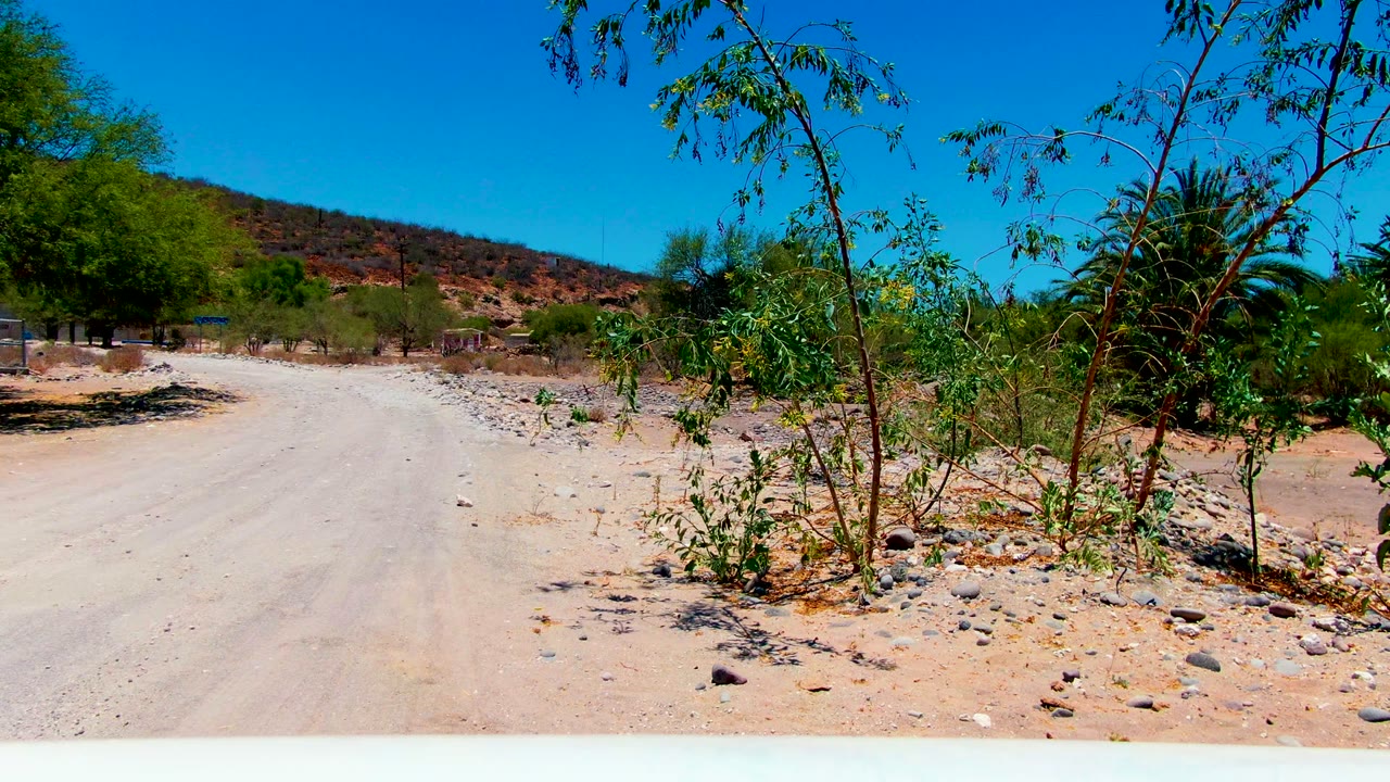 Pale dirt road curving through dry scrub with hills in the background.