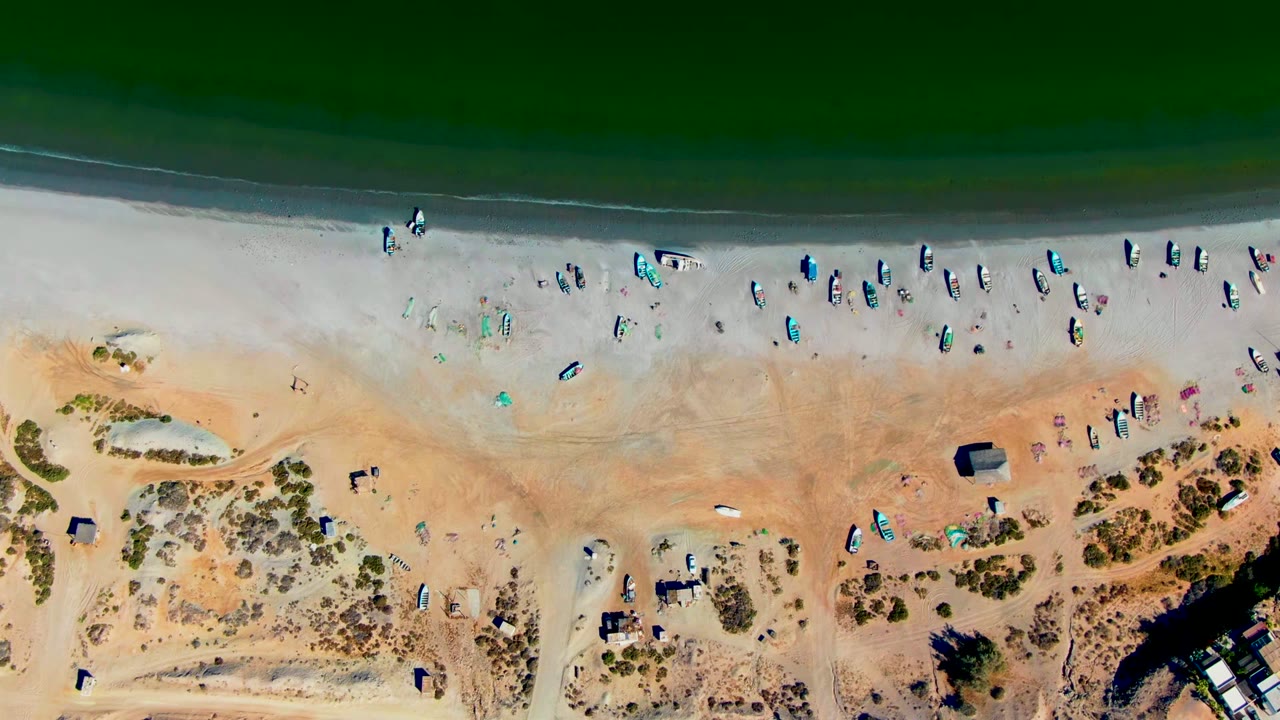 Overhead view of San Juanico beach with dark green ocean, pale shoreline, scattered beachgoers, small umbrellas or gear, dune vegetation, and sandy paths.